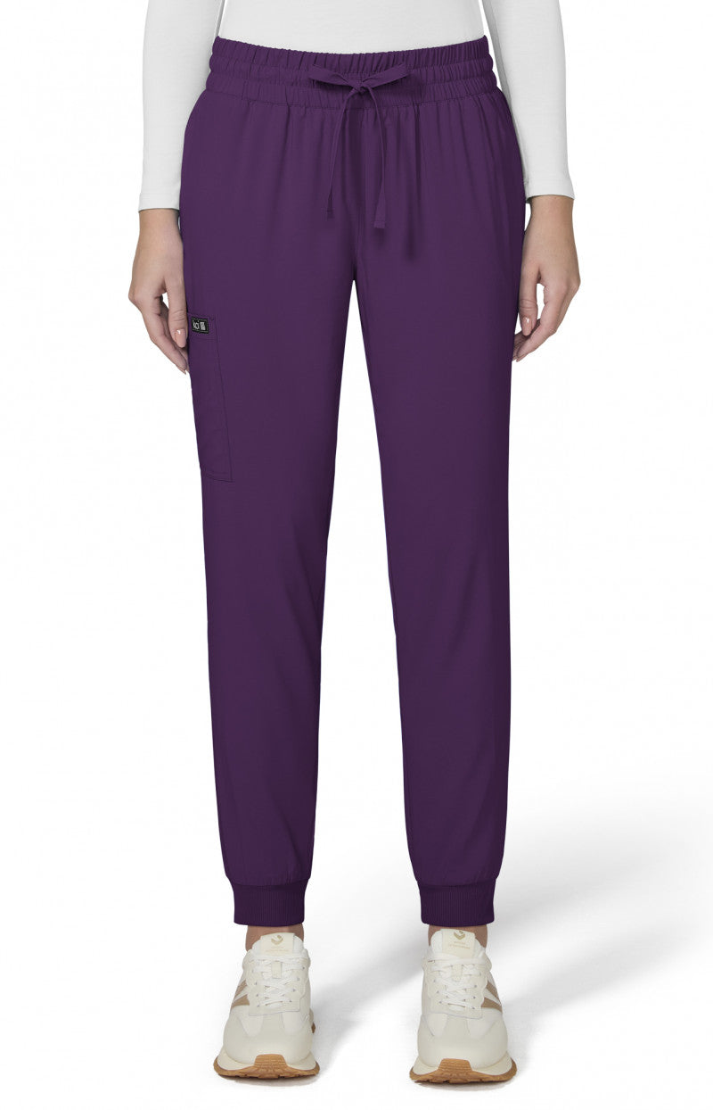Basics 741 Gemma Jogger Pants Eggplant